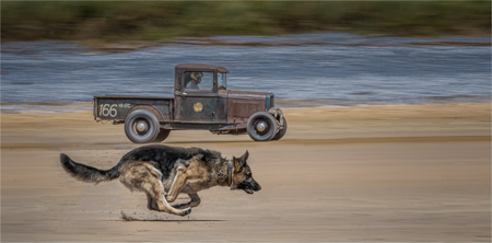 Dog V Hotrod