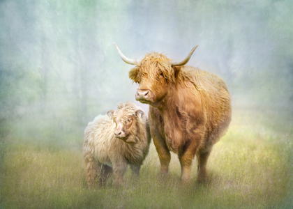 Staying Close To Mum