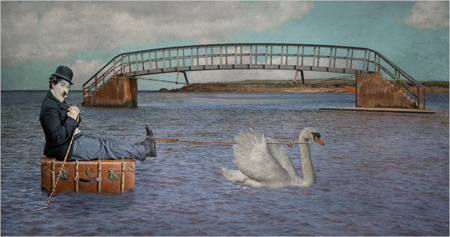 Swanning About On The River