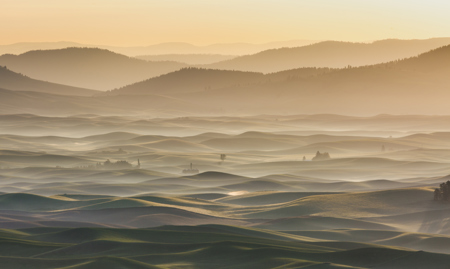Palouse Dawn