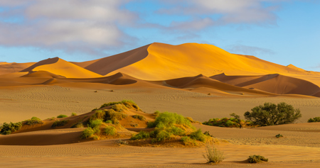 Daybreak In The Namib Desert