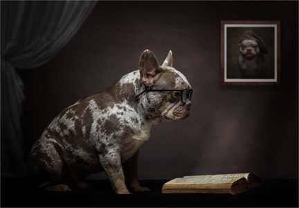 Colour - The Bookworm