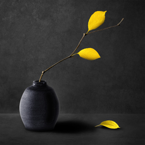 Still Life With Twig And Leaves