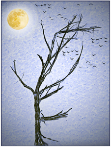 The Moon Tree