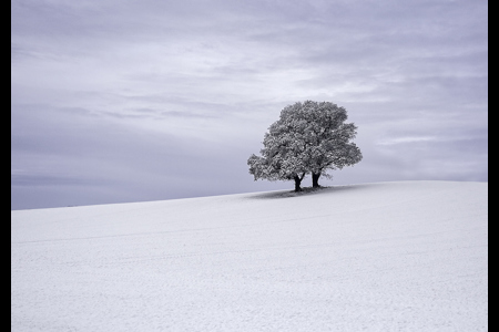 First Dusting Of Snow