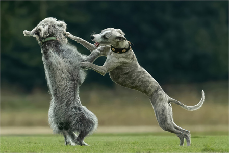 Hit With A Right Hander