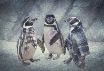 February At The Wildlife Park