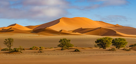 Dawn In The Namib Desert