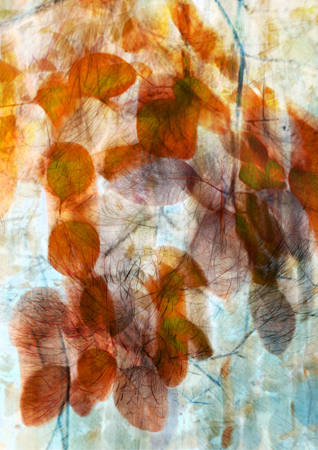 Autumn Leaves