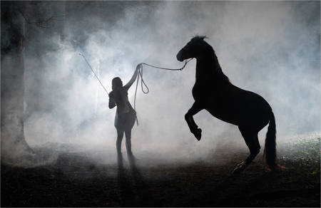 Performing Silhouette
