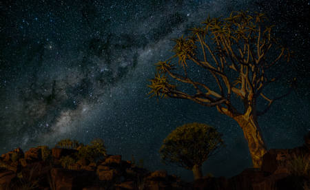 Quiver Trees And The Milk Way