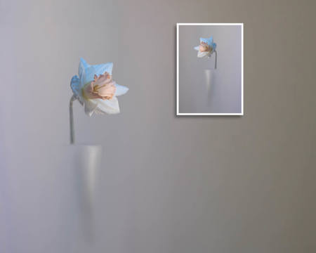 I Made The Exhibtion
