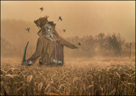 The Corn Checker