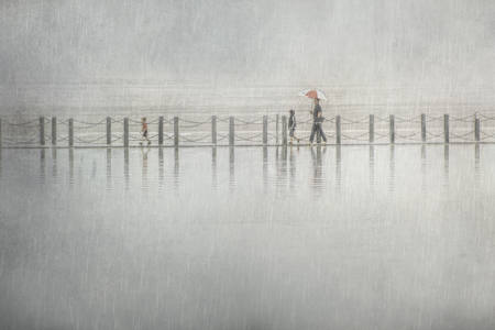 Braving The Elements