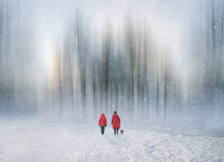 A Winter Walk