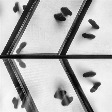 Footfall