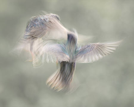 Aerial Dance