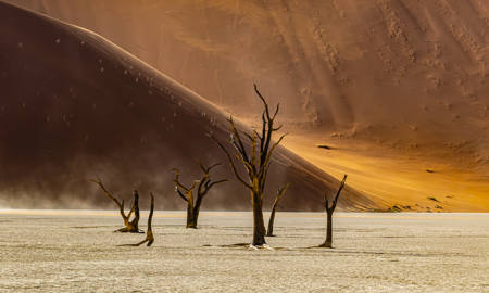 Dust Storm In The Namib
