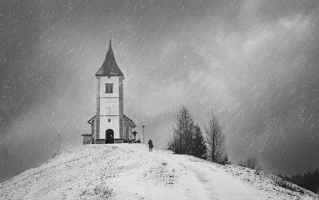 Finding Sanctuary