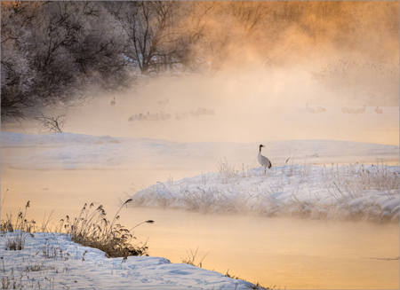 Hokkaido Sunrise