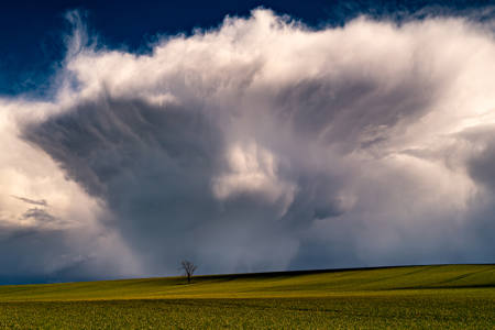 Anvil Of The Gods