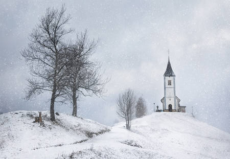 Snowy Sanctuary