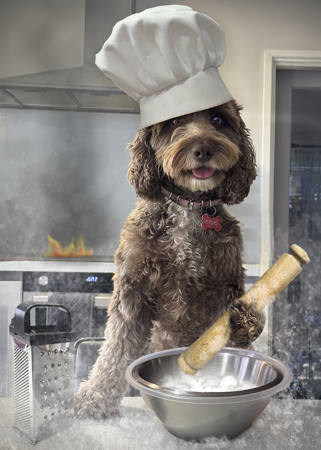 Made A Right Dogs Dinner Of Things