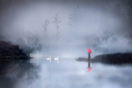 A Quiet Place