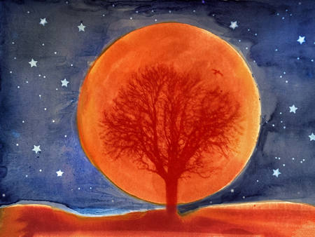 Starry Starry Night - Anthotype & Cyanotype