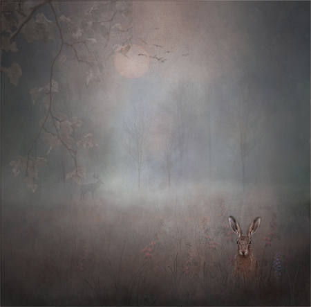 March Hare Dawn