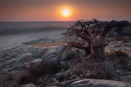 Kubu Island, Botswana