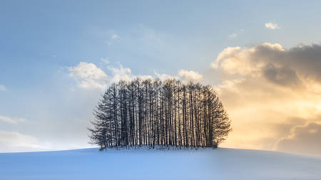 Where Winter Ends
