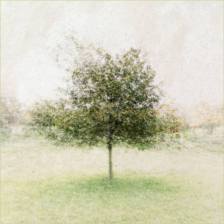 Autumn Lullaby