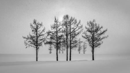 The Quiet Beyond