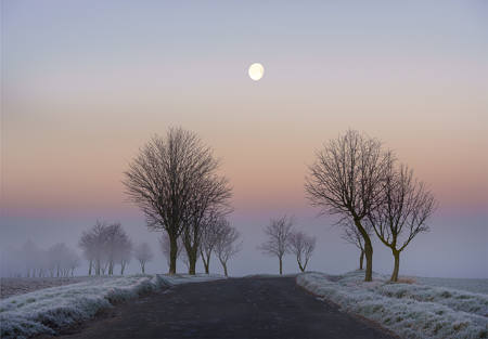 Moonlight And Mist