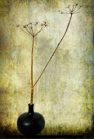 Still Life With Black Vase