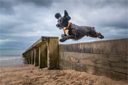 Leap Of Faith