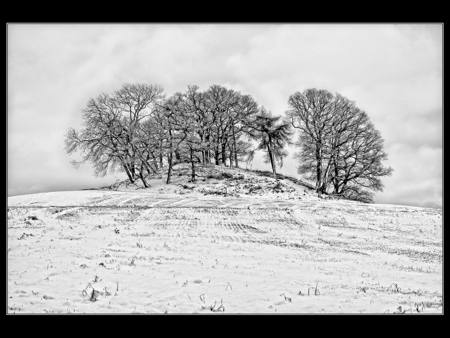January's Quiet Throne
