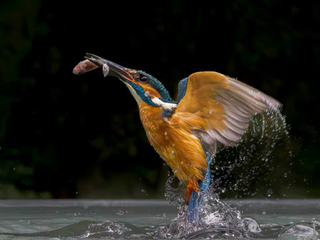 Breaking Free