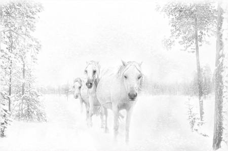 Caught In A Winters Storm