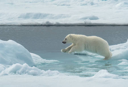 The Leap
