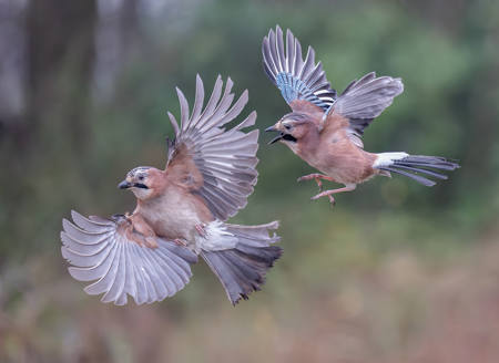 Chasing The Competition