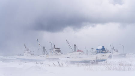 Wintering Fleet - Hokkaido