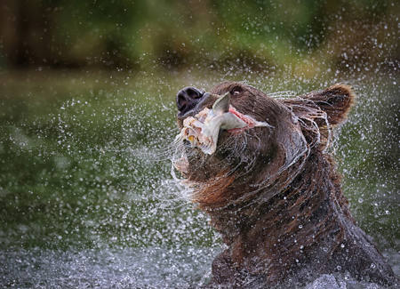 SHAKE WELL BEFORE EATING