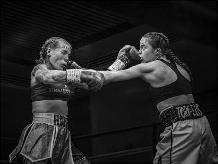 Fight Night