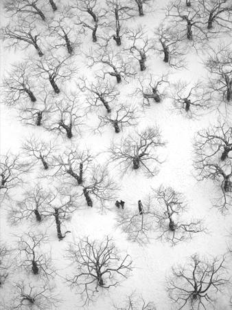 A Winters Walk