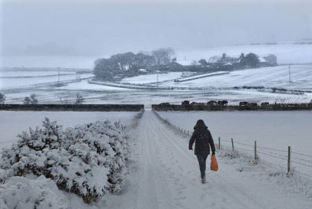 A Long Way Home