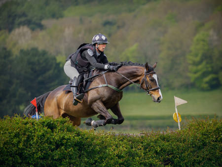 Clear Over The Fence