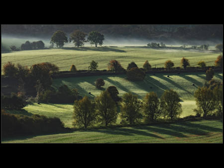 Autumn Shadows