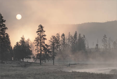 Misty Morning In The Firehole Valley